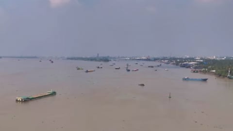 Lũ đầu vụ hầu như không ảnh hưởng lúa hè thu và thu đông