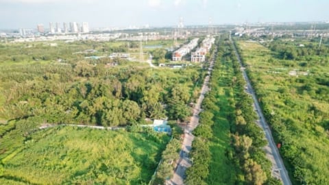 TP.HCM triển khai Nghị quyết 171 về xây dựng nhà ở thương mại