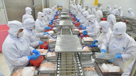 Thủy sản 'vững sóng' vươn tầm [Bài cuối]: Công nghệ và FTA - 'đôi cánh’ bay xa