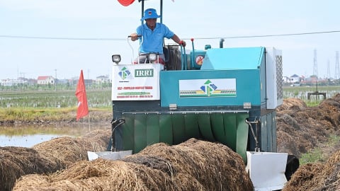 Giữ lại carbon ngay trên từng cánh đồng