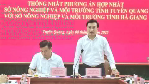 3 đơn vị ngành Nông nghiệp và Môi trường dự kiến được giữ nguyên