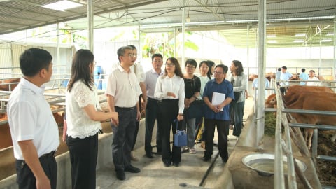 Kiểm soát kịp thời dịch bệnh động vật khu vực biên giới