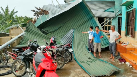 Những mất mát nhức nhối và lời cảnh tỉnh từ thiên nhiên