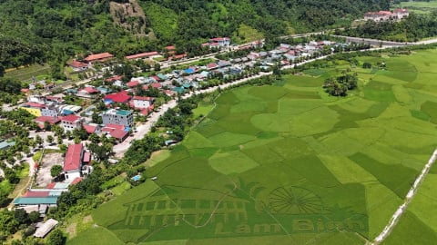 Tuyên Quang có 35 xã đạt chuẩn nông thôn mới