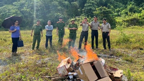 Tiêu hủy heroin số lượng lớn tại Tuyên Quang
