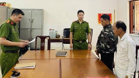 Khởi tố 2 đối tượng vi phạm quy định về khai thác rừng