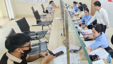 Sở Nông nghiệp và Môi trường Tuyên Quang lập 8 đoàn công tác hỗ trợ xã/phường