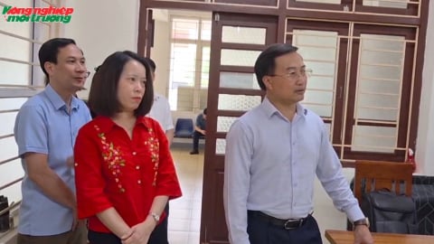 Đẩy nhanh chuyển đổi số trong quản lý đất đai