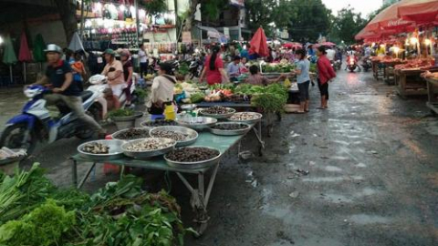Của thật còn không?
