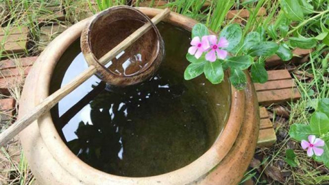Vựa nước