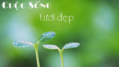 Trận chiến cuối