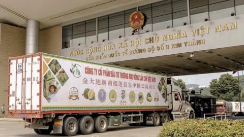 Việt - Trung mở rộng cửa khẩu, tăng tốc xuất khẩu nông sản tiềm năng