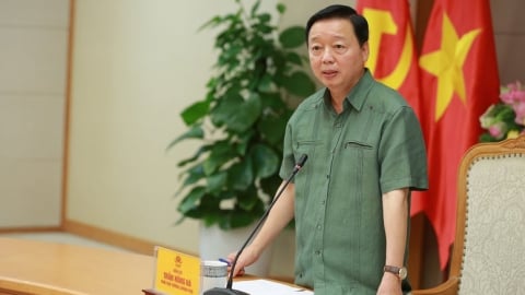 Phát triển dược liệu dưới tán rừng phải gắn với sinh kế, giữ dân, giữ rừng
