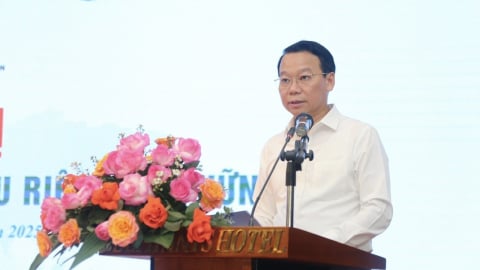 Bộ trưởng Đỗ Đức Duy chủ trì hội nghị tháo gỡ vướng mắc, nâng cao năng lực sản xuất sầu riêng