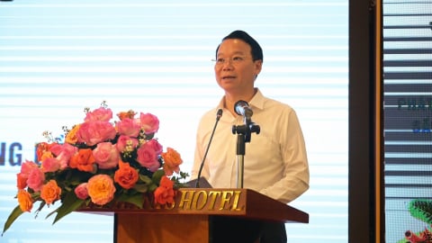 Nâng tỷ lệ cấp mã để phát triển bền vững ngành sầu riêng