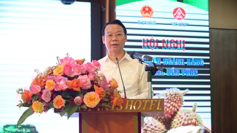 Bộ trưởng Đỗ Đức Duy chủ trì hội nghị tháo gỡ vướng mắc, nâng cao năng lực sản xuất sầu riêng