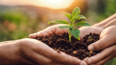 Không giữ nông nghiệp, giữ gì cho mai sau?