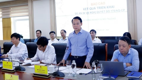 Cơ sở dữ liệu phải 'đúng, đủ, sạch, sống' để vận hành quốc gia hiệu quả