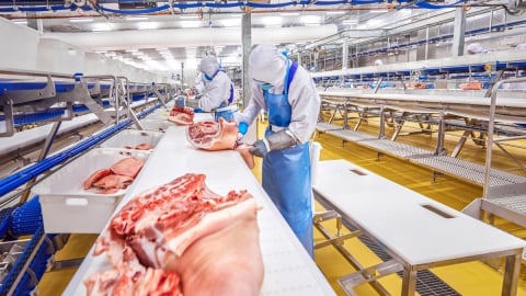 Có phải thịt ở ngăn mát gọi là thịt mát?