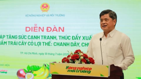 Cần một cuộc cách mạng công nghệ cho 4 loại quả chủ lực