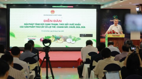 Tăng sức cạnh tranh, thúc đẩy xuất khẩu 4 sản phẩm trái cây chủ lực