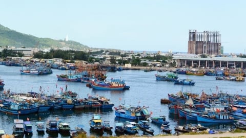 Căn cứ diễn biến của bão Wipha để cấm tàu, đặc biệt là tàu du lịch