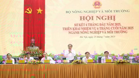 Quyền Bộ trưởng Trần Đức Thắng: Không có dữ liệu, không thể quản lý ngành