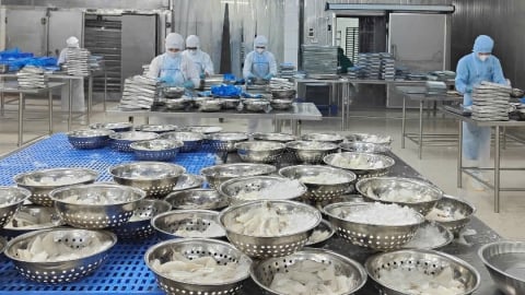 Biến phụ phẩm thủy sản thành ‘vàng xanh’: [Bài 1] Tiềm năng lớn