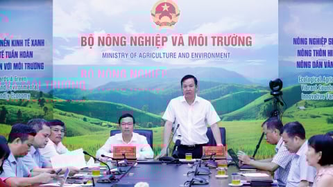 Giải đáp vướng mắc khi thực hiện phân quyền, phân cấp trong trồng trọt và BVTV