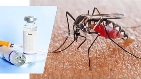 Hà Nội triển khai chiến dịch cao điểm diệt lăng quăng trong tháng 8