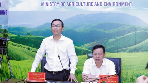 Giải đáp vướng mắc khi thực hiện phân quyền, phân cấp trong trồng trọt và BVTV