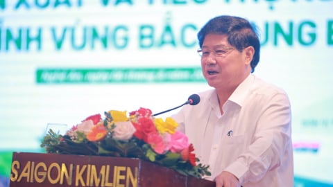 Giấc mơ ‘tỷ đô’ từ vùng đất khắc nghiệt Bắc Trung bộ