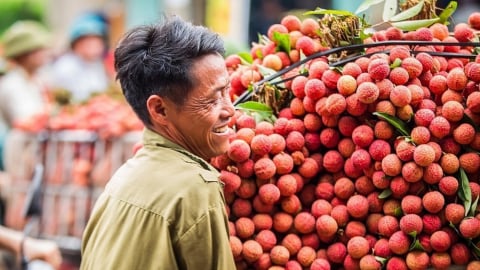 Thị xã Chũ mỗi năm thu hơn 1.000 tỷ đồng từ vải thiều