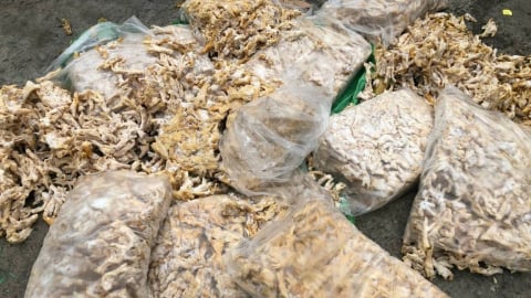 Tiêu hủy hơn 2 tấn thực phẩm đông lạnh không rõ nguồn gốc