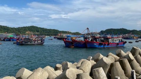 Quảng Ninh: Hàng nghìn tàu cá loay hoay tìm khu neo đậu tránh trú bão