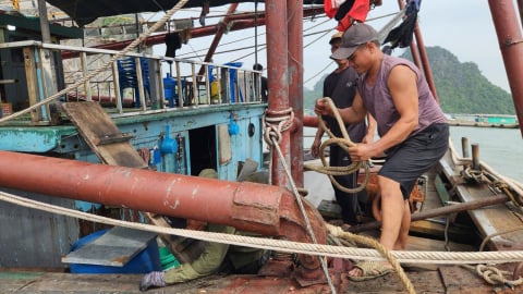 Dân đi biển gọi nhau vào bờ tránh bão