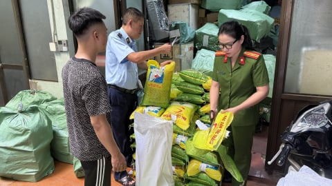 Tiêu hủy gạo và bao bì giả mạo nhãn hiệu ST25