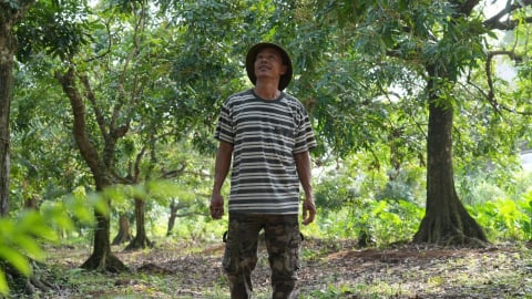 Nâng tầm nông sản từ những mô hình trang trại bền vững