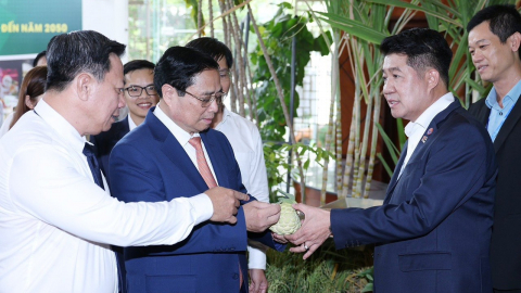 Liên doanh DHN với mô hình kinh tế xanh trong nông nghiệp tại Tây Ninh