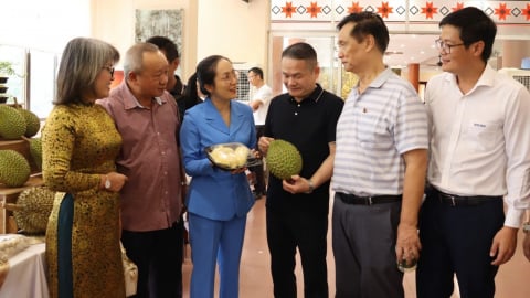 Hợp tác thương mại giữa doanh nhân Đắk Lắk và Trung Quốc