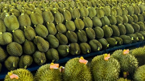 Đắk Lắk siết chặt quản lý sầu riêng, đảm bảo chất lượng xuất khẩu