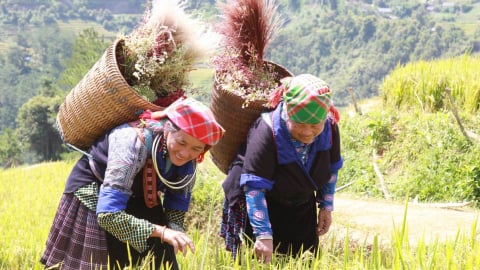 Chương mới trong phát triển nông nghiệp miền núi phía Bắc