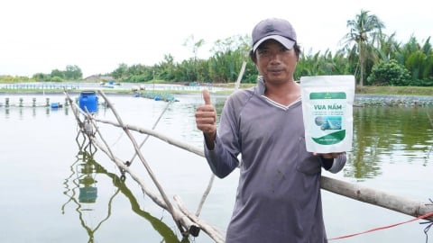Vua Nấm - Chất lượng kiến tạo vị thế dẫn đầu trên thị trường