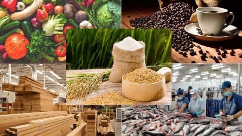 Bộ NN-MT tăng tốc để xuất khẩu nông, lâm, thủy sản cán đích 65 tỷ USD