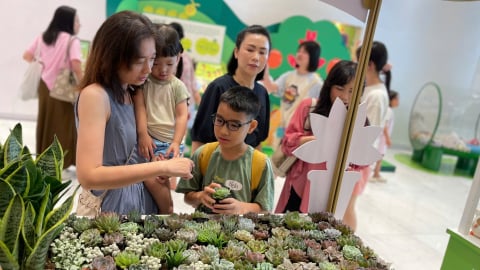 ‘Đổi đồ cũ lấy cây’: Lan tỏa lối sống xanh, bảo vệ môi trường