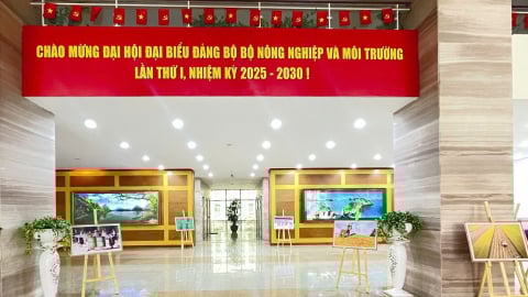 'Quyết tâm, Khí thế và Đột phá'