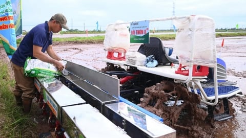 Hà Nội đổi mới cách gieo sạ để sản xuất lúa giảm phát thải