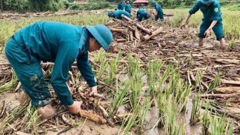 Nỗ lực khắc phục hậu quả mưa lũ ở Nghệ An