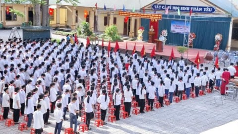 Gieo lại mầm xanh từ bùn đất