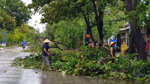 Chủ động ứng phó áp thấp có khả năng mạnh lên thành áp thấp nhiệt đới